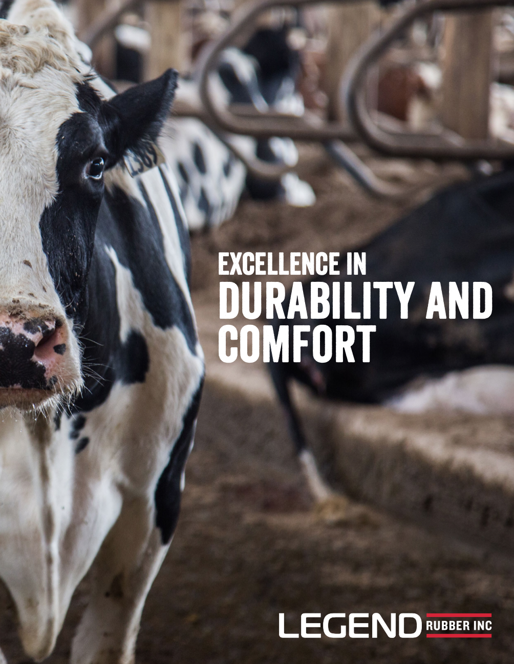 Legend Rubber - Dairy Brochure